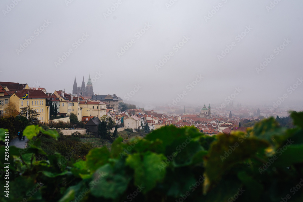 霧に覆われた古いプラハ の街並みと城