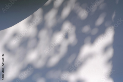 shade of tree with shadow leaf on white wall background