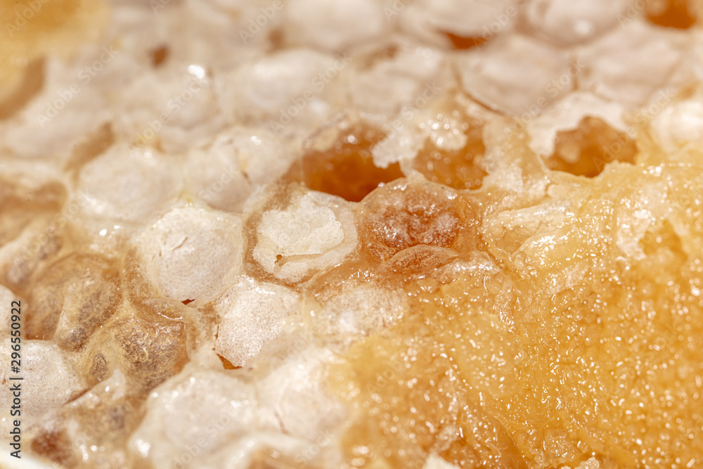 Bee honey in honeycombs as a background