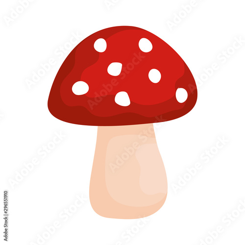 autumn mushroom exotic isolated icon vector illustration design