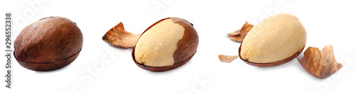Set of avocado seeds on white background