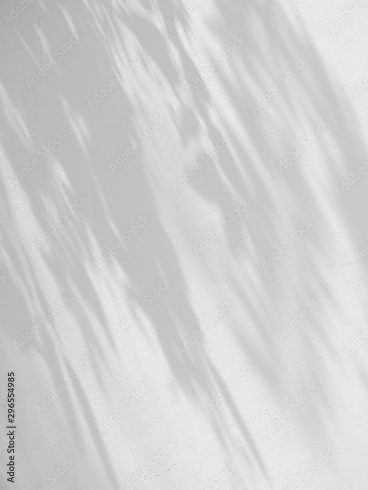 abstract shadow of the leaves on a white wall background