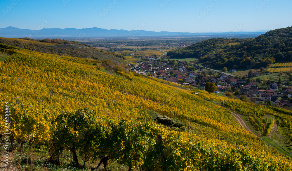 Fototapeta premium Westhalten im südlichen Elsass im Herbst