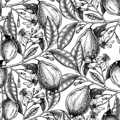 Hand drawn citrus fruits backdrop. Elegant lemons seamless pattern with citrus fruits, flowers, branches sketches. Perfect for packaging, fabric, wrapping paper. Lemons design