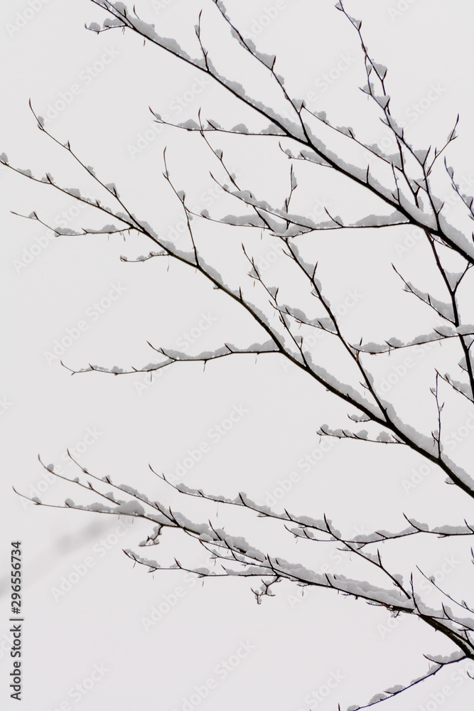 Obraz premium Winterbaum III