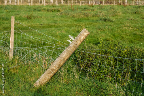 Fence and gattes photo