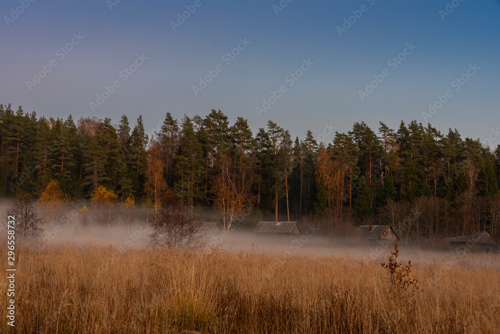 Rural landscape at dusk with fog