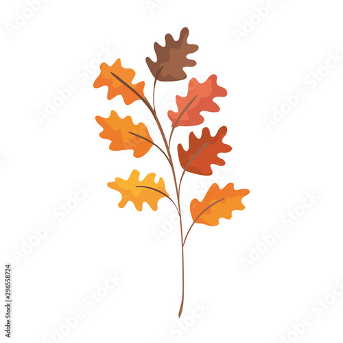 autumn branch with leafs design