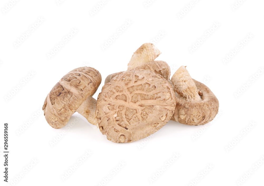 whole fresh shitake mushroom on white background whole fresh shitake mushroom on white background