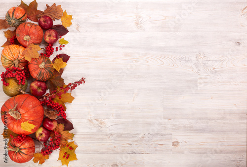 Thanksgiving background. Autumn harvest