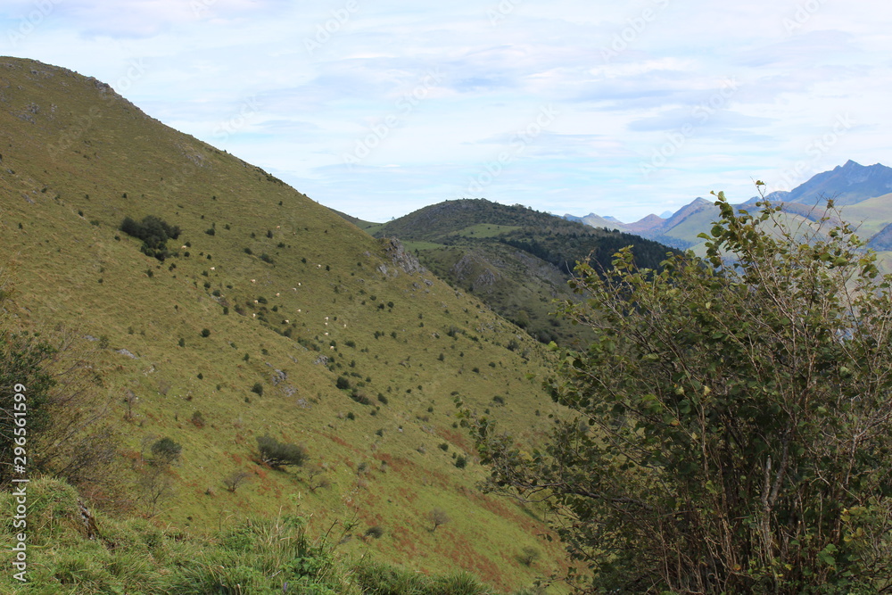 Pic d'Escrets - Pyrénées