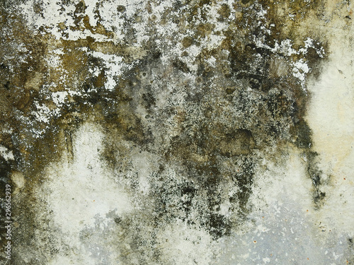 mold on concrete wall texture photo