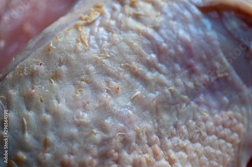 texture of raw chicken skin close up