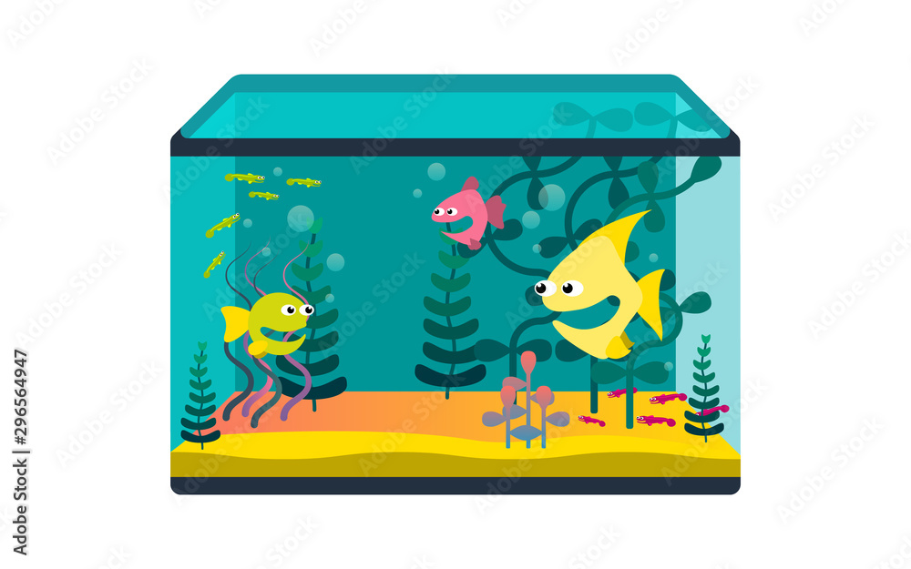 Fototapeta premium Glass aquarium with tropical fish and water plants, isolated flat vector illustration on white background