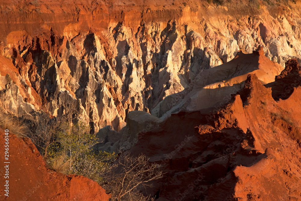 le canyon, Réserve nationale d'Ankarafantsika, Madagascar le canyon, Réserve nationale d'Ankarafantsika, Madagascar