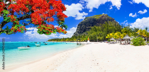Beautiful beaches of sunny ...