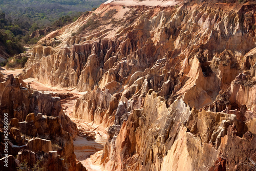 le canyon, Réserve nationale d'Ankarafantsika, Madagascar