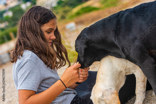 girl feeds stray dogs on a greece beach photo