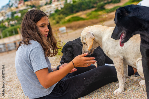 Photography girl feeds stray dogs on a greece beach