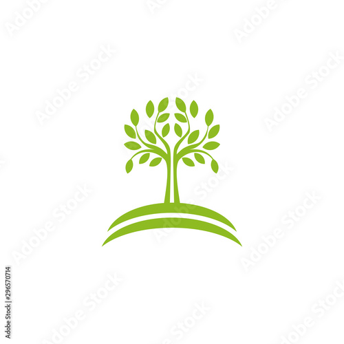Tree of life logo design vector template