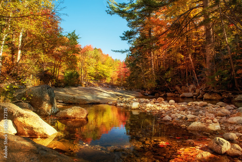 River flowing among the stones in the osnne forest. Mirror reflection in the water of colorful autumn trees. Sunny autumn day in the national park. USA. New Hampshire National park.