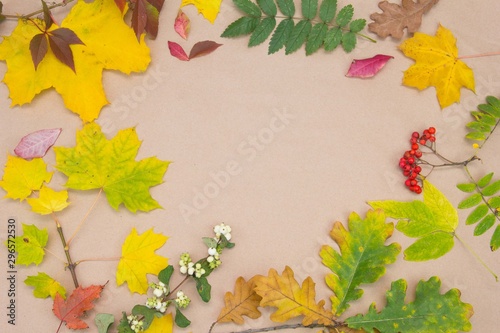 Tree leave. Autumn. The view from the top. Different colors and ages of leaves from fresh green to dry brown on a brown background. The view from the top. Space for text
