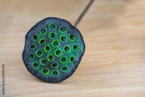 Lotus seed pods. Green lotus seed pods background photo