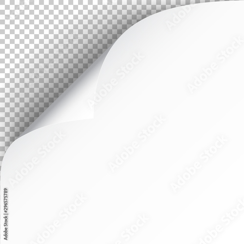 Sheet of paper with curled corner and soft shadow, template for your design. Vector illustration
