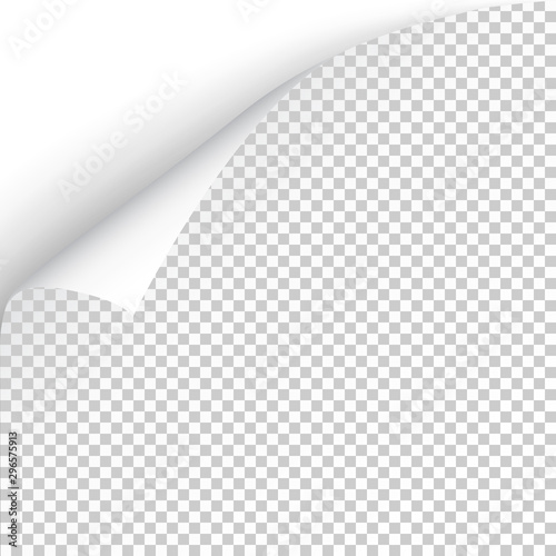 Sheet of paper with curled corner and soft shadow, template for your design. Vector illustration