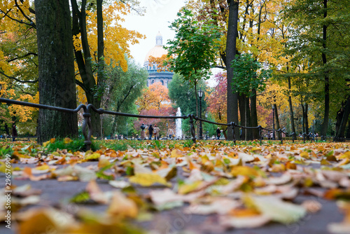 Autumn landscape, Park paths covered with fallen leaves.