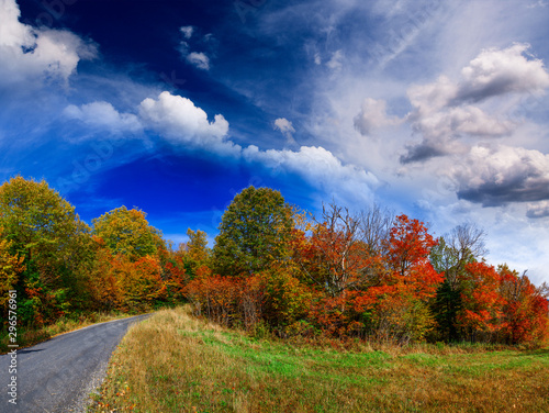 Panoramic view of foliage in New England. Road and trees on a beautiful autumn day