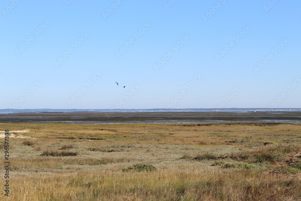 Fototapeta premium plage bassin arcachon