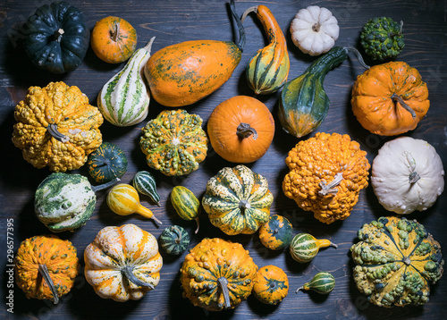 many types of pumpkin and squash
