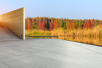 Empty square floor and beautiful colorful forest in autumn