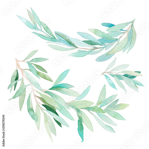 Watercolor green branches isolated on white background