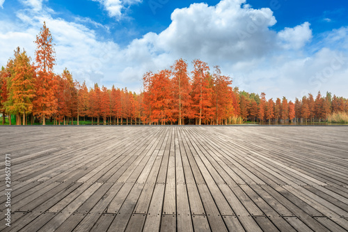 Empty wooden board square and beautiful colorful forest in autumn