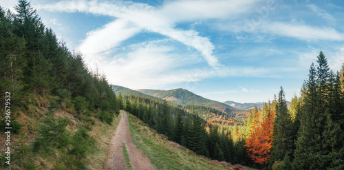 beautiful golden autumn in the mountains. rural road. natural background. autumn landscape