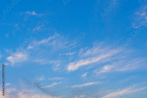 Fototapeta Naklejka Na Ścianę i Meble -  feather clouds in a bright blue sky, pine colors
