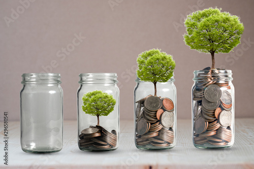 Money coins and tree growing in jar. Profit on deposit in bank and dividend for stock investment concept. photo