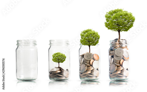 Money coins and tree growing in jar. Profit on deposit in bank and dividend for stock investment concept.