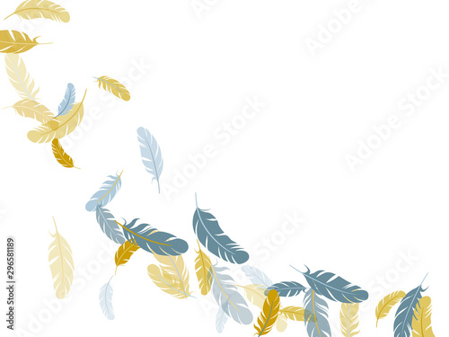Fluffy twirled feathers on white design.