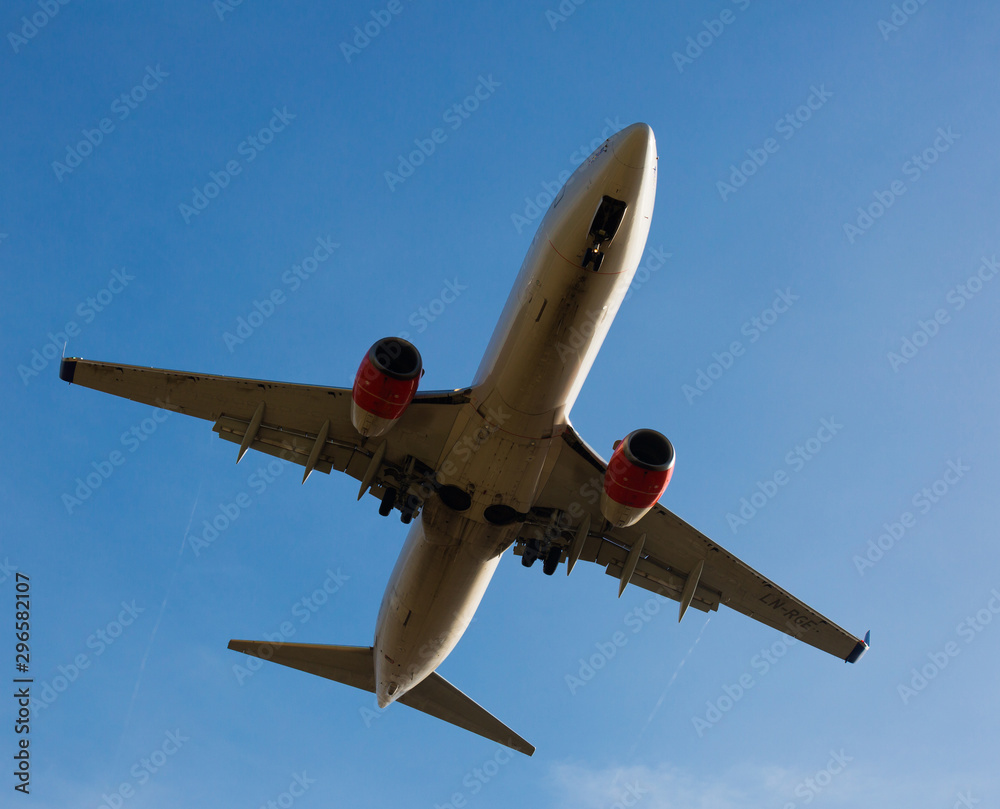 Obraz premium SAS Airlines plane landing