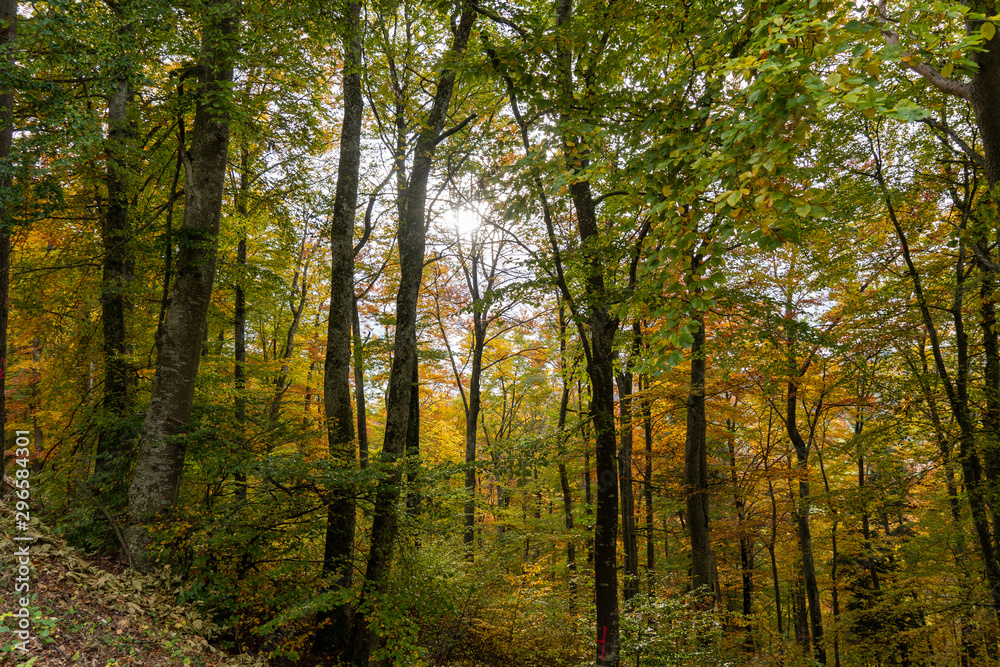 Russberg im Herbst _Deutschland Russberg im Herbst _Deutschland