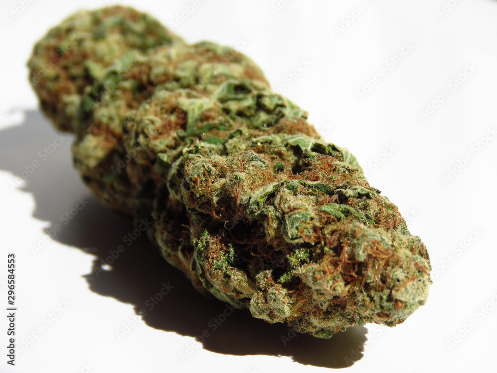 Closeup of medical cannabis bud. Marijuana bud on white background. 