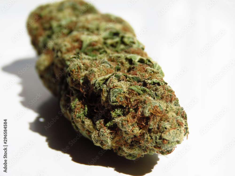 Closeup of medical cannabis bud. Marijuana bud on white background. 