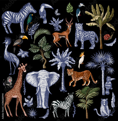 Big set with jungle animals in graphic style isolated. Vector.