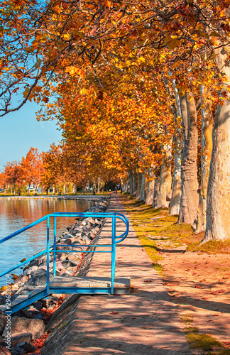 Nice autumnal scene at lake...