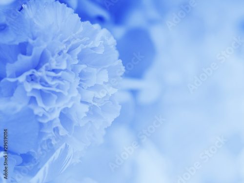 Blurred of flowers blue blooming. in the pastel color style for background.