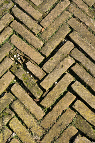 ancient floor with terracotta bricks