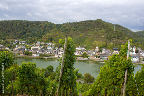 View of Treis-Karden town with the Moselle river in Germany